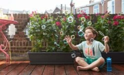 Elho Barcelona Xl 80 Cm, Anthrazit -Pflanzensamen Rabatt elho barcelona xl 80 cm 1669217 de