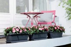 Elho Barcelona Xl Untersetzer 60 Cm, Weiss -Pflanzensamen Rabatt elho barcelona xl untersetzer 60 cm 1669232 de