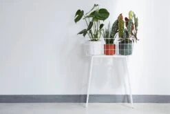 Elho B.for Soft Rund Weiß, Ø 14 Cm 10 Elho B.for Soft Rund Weiß, Ø 14 Cm -Pflanzensamen Rabatt elho bfor soft rund 784965 de