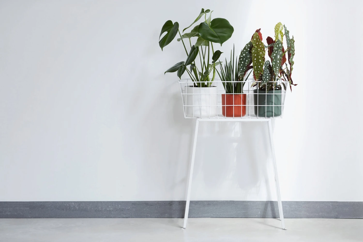 Elho B.for Soft Rund Weiß, Ø 14 Cm 4 Elho B.for Soft Rund Weiß, Ø 14 Cm – Bild 2