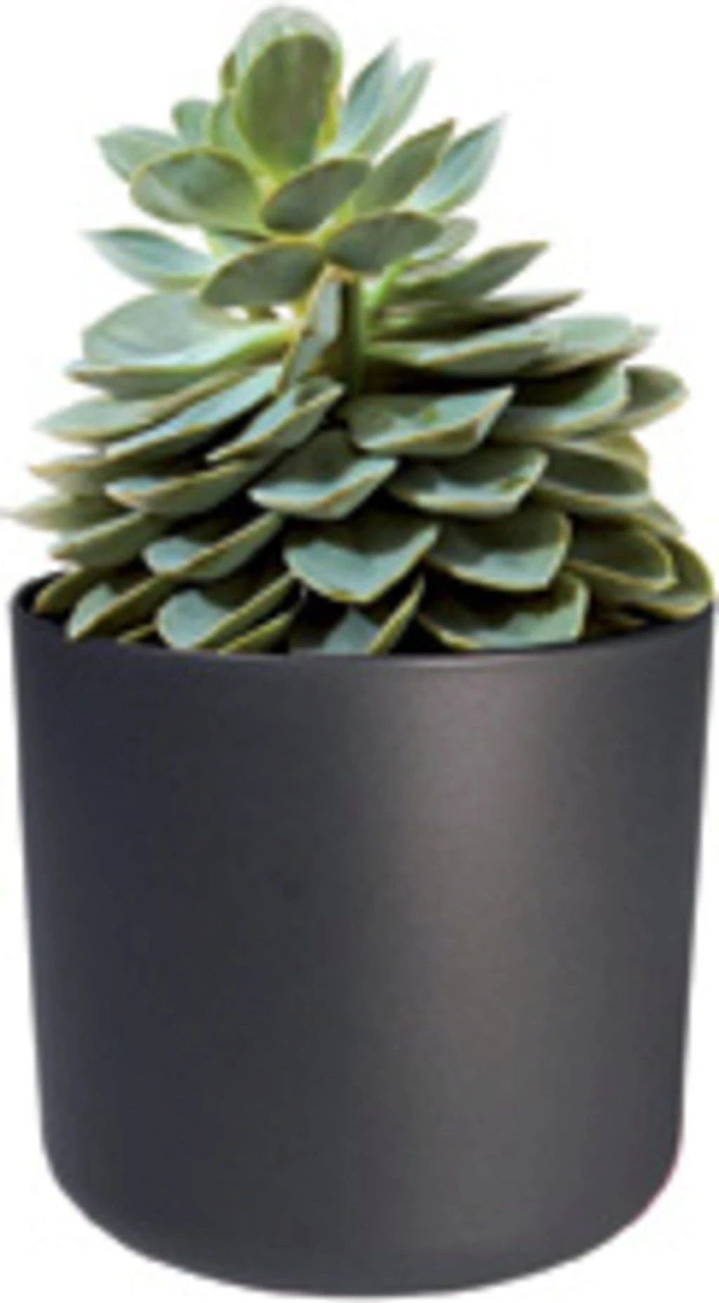 Elho B.for Soft Rund Anthrazit, Ø 22 Cm 5 Elho B.for Soft Rund Anthrazit, Ø 22 Cm – Bild 3