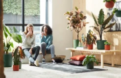 Elho B.for Soft Rund Laubgrün, Ø 18 Cm -Pflanzensamen Rabatt elho bfor soft rund laubgruen 1671528 de