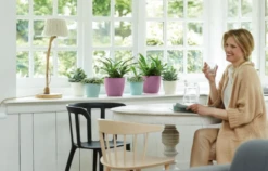 Elho Brussels Rund 14 Cm, Weiß 14 Elho Brussels Rund 14 Cm, Weiß -Pflanzensamen Rabatt elho brussels rund 14 cm lila 1671689 de