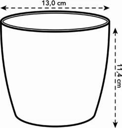 Elho Brussels Rund Mini 13 Cm, Anthrazit -Pflanzensamen Rabatt elho brussels rund mini 13 cm 1268129 de