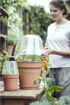 Elho Green Basics Anzucht Haus Rund, 30 Cm 11 Elho Green Basics Anzucht Haus Rund, 30 Cm -Pflanzensamen Rabatt elho green basics anzucht haus rund 1666627 de