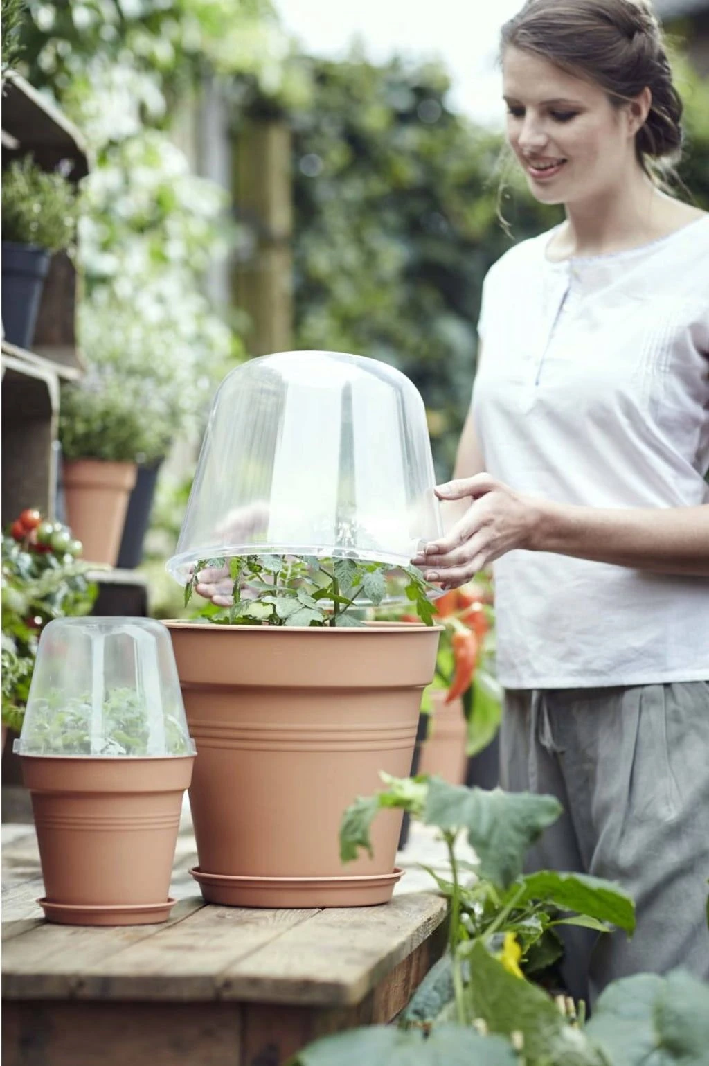 Elho Green Basics Anzucht Haus Rund, 30 Cm 6 Elho Green Basics Anzucht Haus Rund, 30 Cm – Bild 4