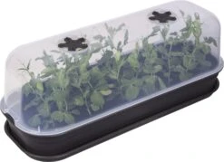 Elho Green Basics Anzuchthaus-Set L 15 Elho Green Basics Anzuchthaus-Set L -Pflanzensamen Rabatt elho green basics anzuchthaus set l crna 1168127 de