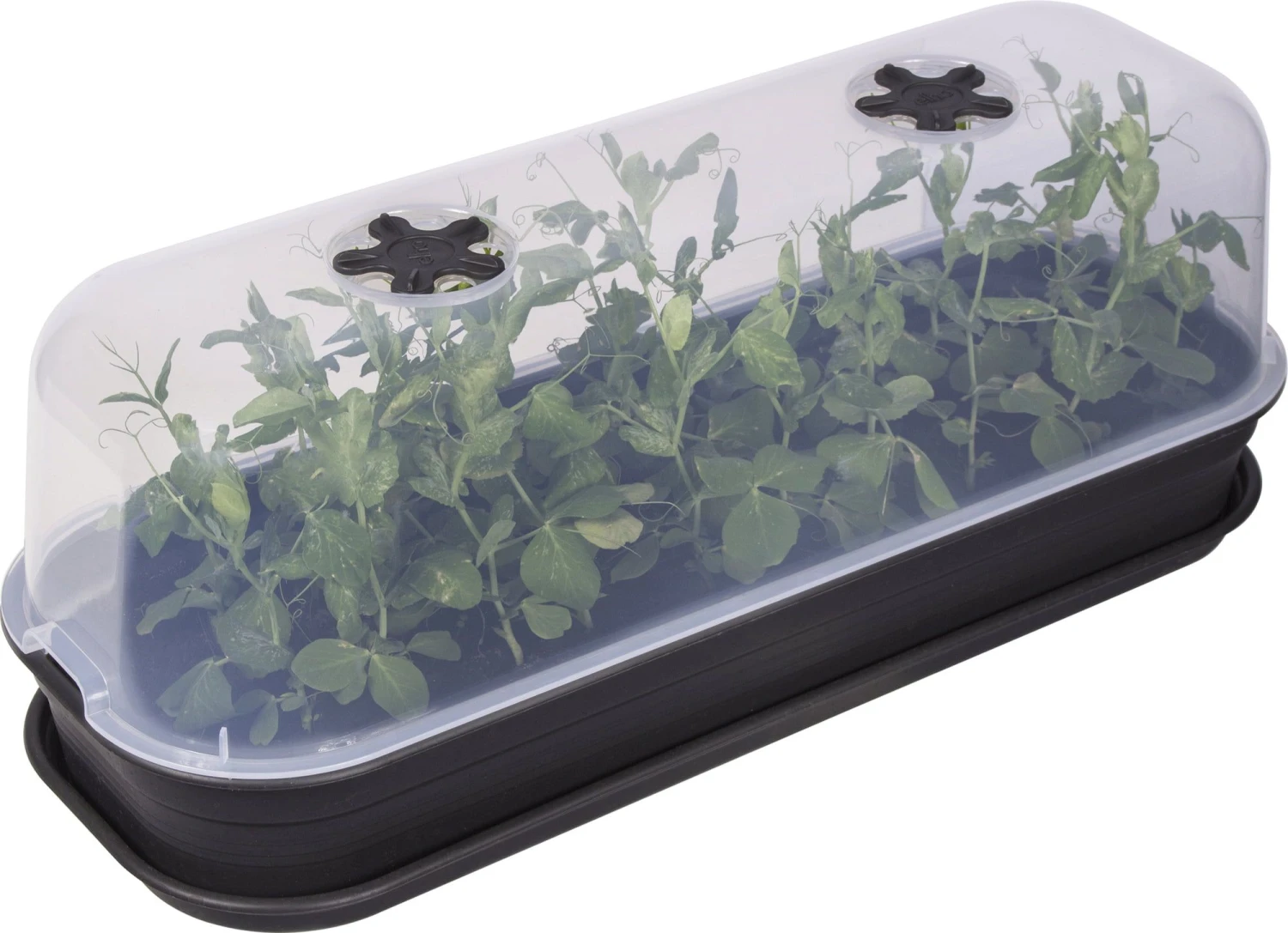 Elho Green Basics Anzuchthaus-Set L 6 Elho Green Basics Anzuchthaus-Set L – Bild 4