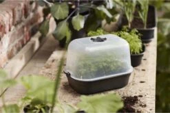 Elho Green Basics Anzuchthaus-Set S -Pflanzensamen Rabatt elho green basics anzuchthaus set s 1677524 de