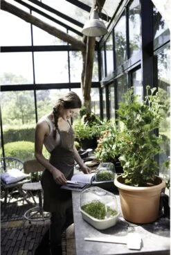 Elho Green Basics Anzuchthaus-Set S -Pflanzensamen Rabatt elho green basics anzuchthaus set s 1677525 de