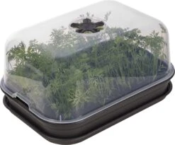 Elho Green Basics Anzuchthaus-Set S -Pflanzensamen Rabatt elho green basics anzuchthaus set s crna 1168168 de