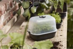 Elho Green Basics Anzuchtschale M, Lebhaft Schwarz 10 Elho Green Basics Anzuchtschale M, Lebhaft Schwarz -Pflanzensamen Rabatt elho green basics anzuchtschale m 1671437 de