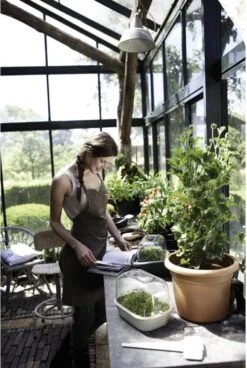 Elho Green Basics Anzuchtschale S, Lebhaft Schwarz -Pflanzensamen Rabatt elho green basics anzuchtschale s 1666618 de