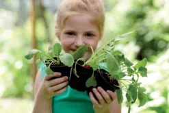 Elho Green Basics Anzuchttopf Starter Set, 10 Stück 11 Elho Green Basics Anzuchttopf Starter Set, 10 Stück -Pflanzensamen Rabatt elho green basics anzuchttopf starter set 1588332 de