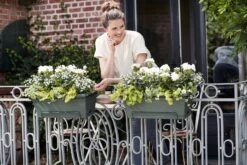 Elho Green Basics Balkonkasten Xl Allin1 55 Cm, Schwarz -Pflanzensamen Rabatt elho green basics balkonkasten xl allin1 55 cm 1669268 de