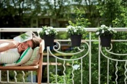 Elho Green Basics Easy Hängetopf, Lebhaft Schwarz -Pflanzensamen Rabatt elho green basics easy haengetopf popolna crna 1268218 de