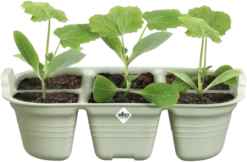 Elho Green Basics Saatschale 22 Cm 13 Elho Green Basics Saatschale 22 Cm -Pflanzensamen Rabatt elho green basics saatschale 22 cm 1683669 de