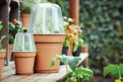 Elho Green Basics Untersetzer "baumwolle", 34 Cm -Pflanzensamen Rabatt elho green basics untersetzer baumwolle 1675248 de