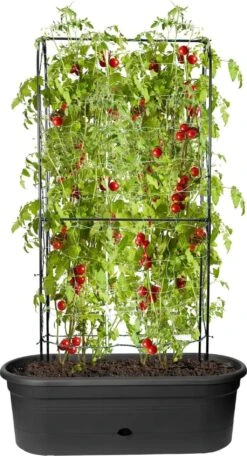 Elho Green Basics Veggie Wall 80 Cm -Pflanzensamen Rabatt elho green basics veggie wall 80 cm 1 st 1662791 de