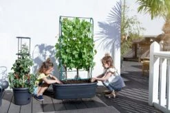 Elho Green Basics Veggie Wall 80 Cm -Pflanzensamen Rabatt elho green basics veggie wall 80 cm 1 st 1671238 de