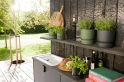 Elho Greenville Topf Rund 18 Cm, Living Schwarz -Pflanzensamen Rabatt elho greenville topf rund 18 cm levande svart 1676269 de