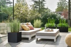 Elho Pflanzkasten Vivo Next Lang - 60 Cm, Living Schwarz -Pflanzensamen Rabatt elho pflanzkasten vivo next lang 60 cm levande svart 1471750 de