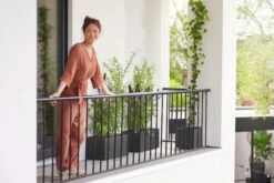 Elho Pflanzkasten Vivo Next Lang - 80 Cm, Living Schwarz 17 Elho Pflanzkasten Vivo Next Lang - 80 Cm, Living Schwarz -Pflanzensamen Rabatt elho pflanzkasten vivo next lang 80 cm levande svart 1472409 de