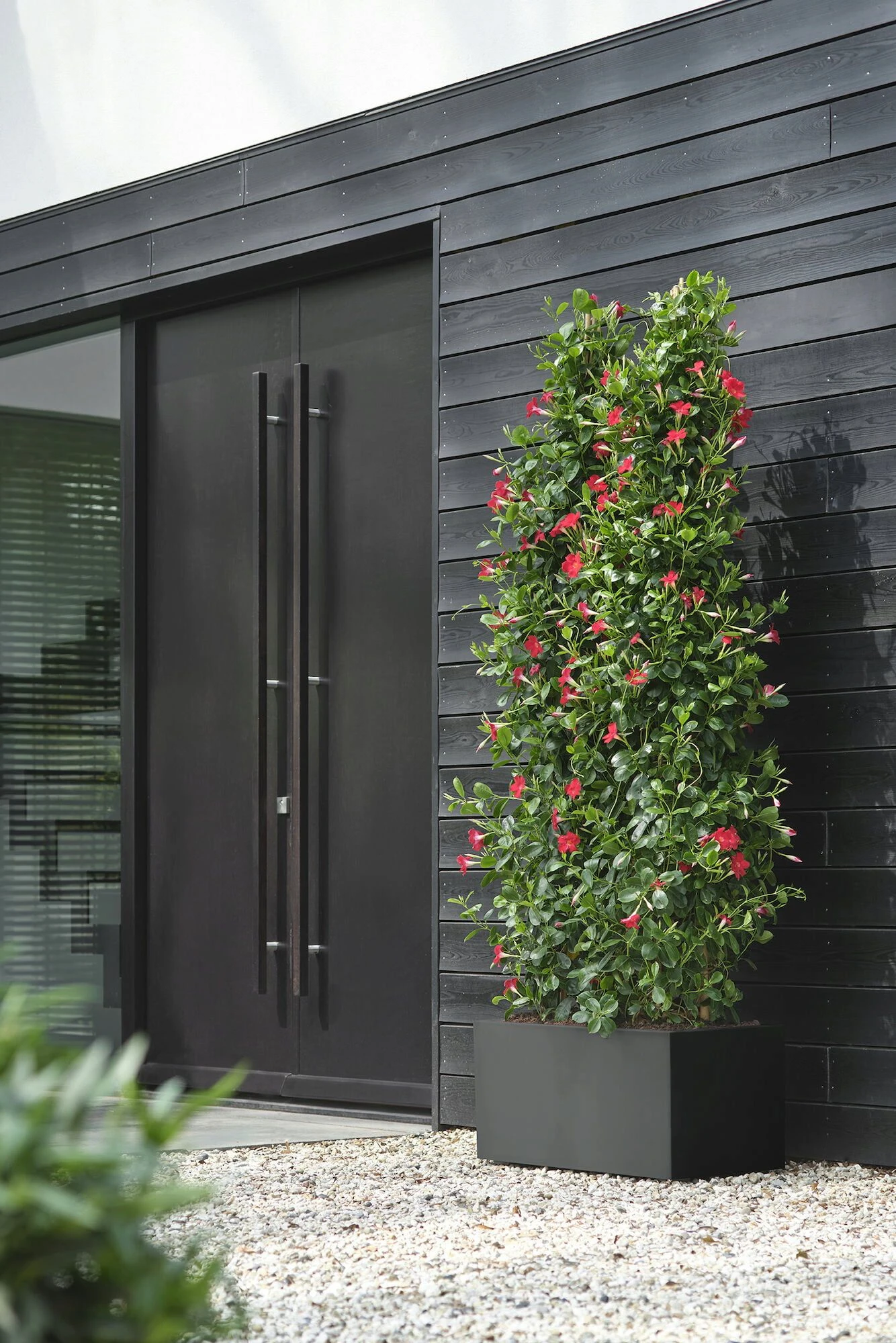 Elho Pflanzkasten Vivo Next Lang - 80 Cm, Living Schwarz 11 Elho Pflanzkasten Vivo Next Lang - 80 Cm, Living Schwarz – Bild 9