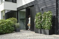 Elho Pflanzkasten Vivo Next Lang - 80 Cm, Living Schwarz 23 Elho Pflanzkasten Vivo Next Lang - 80 Cm, Living Schwarz -Pflanzensamen Rabatt elho pflanzkasten vivo next lang 80 cm living schwarz 1247991 de