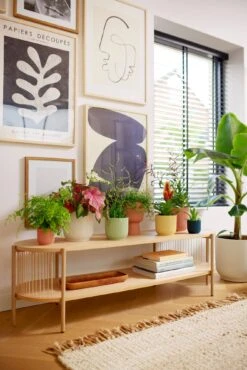 Elho Vibes Fold Rund 14 Cm, Seidenweiß -Pflanzensamen Rabatt elho vibes fold rund 14 cm 1495213 de