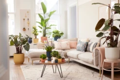 Elho Vibes Fold Rund 14 Cm, Seidenweiß -Pflanzensamen Rabatt elho vibes fold rund 14 cm sorbetgroen 1672239 de