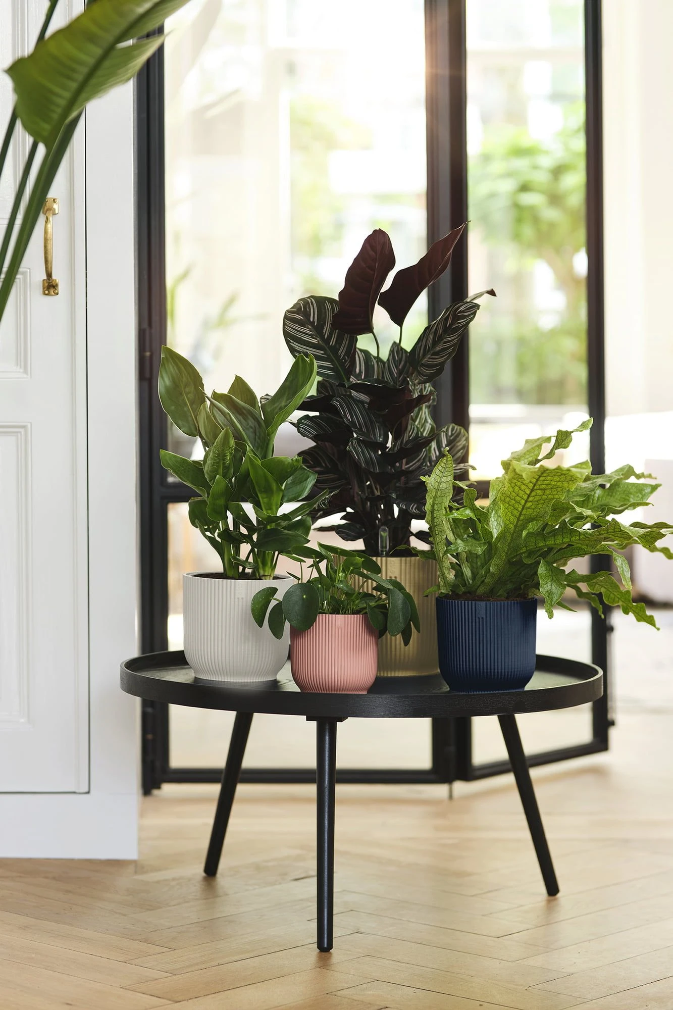 Elho Vibes Fold Rund 25 Cm, Seidenweiß 5 Elho Vibes Fold Rund 25 Cm, Seidenweiß – Bild 3