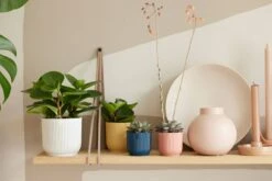 Elho Vibes Fold Rund Mini 11 Cm, Seidenweiß