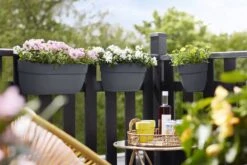 Elho Vibia Campana Easy Hanger Large, Anthrazit 11 Elho Vibia Campana Easy Hanger Large, Anthrazit -Pflanzensamen Rabatt elho vibia campana easy hanger large anthrazit 1207685 de