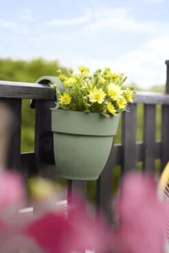 Elho Vibia Campana Easy Hanger Small, Pistazien Grün -Pflanzensamen Rabatt elho vibia campana easy hanger small pistazien gruen 1129947 de