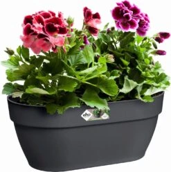 Elho Vibia Campana Wandampel 35 Cm, Anthrazit -Pflanzensamen Rabatt elho vibia campana wandampel 35 cm antracit 1134498 de