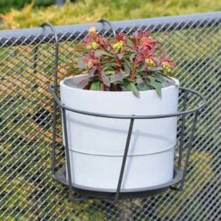 ESSCHERT DESIGN Balkonblumentopfhänger, L 7 ESSCHERT DESIGN Balkonblumentopfhänger, L -Pflanzensamen Rabatt esschert design balkonblumentopfhaenger 1345072 de