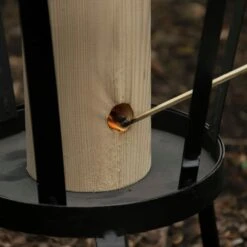 ESSCHERT DESIGN Finnenkerze 10 ESSCHERT DESIGN Finnenkerze -Pflanzensamen Rabatt esschert design finnenkerze 1 stk 1001127 de