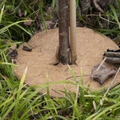 ESSCHERT DESIGN Pflanzschutzmatte Aus Kokos, M -Pflanzensamen Rabatt esschert design pflanzschutzmatte aus kokos 1621032 de