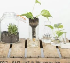 ESSCHERT DESIGN Selbstbewässernder Flaschentopf -Pflanzensamen Rabatt esschert design selbstbewaessernder flaschentopf 1 stk 1211743 de