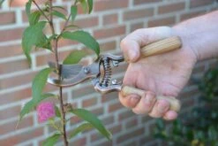 ESSCHERT DESIGN Verkupferte Gartenschere 6 ESSCHERT DESIGN Verkupferte Gartenschere -Pflanzensamen Rabatt esschert design verkupferte gartenschere 1 stk 818772 de