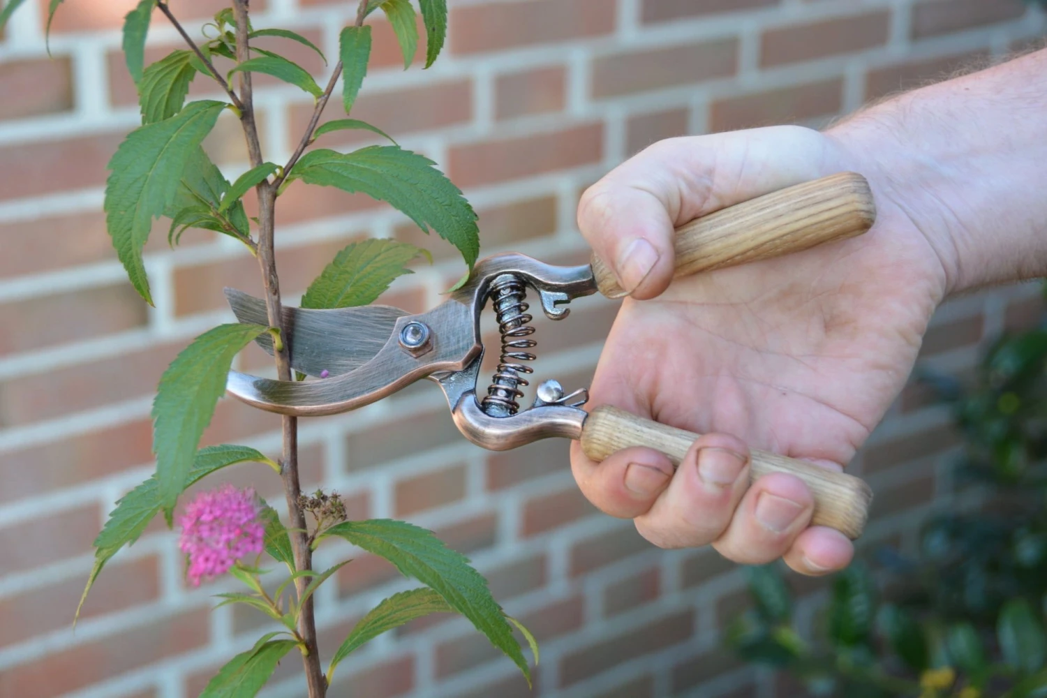 ESSCHERT DESIGN Verkupferte Gartenschere 4 ESSCHERT DESIGN Verkupferte Gartenschere – Bild 2