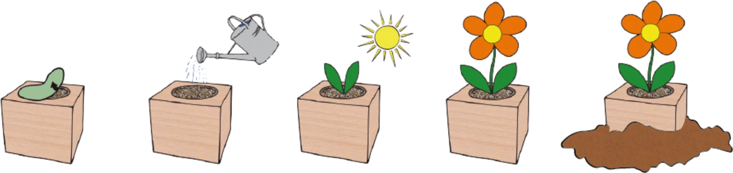 Ecocube "Herzblattklee" 3 Ecocube "Herzblattklee"