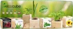 Ecocube "Hopfen" -Pflanzensamen Rabatt feel green ecocube hopfen 1 st 1670008 de