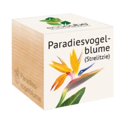 Ecocube "Paradiesvogelblume"