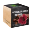 Ecocube "Schokoladenblume" -Pflanzensamen Rabatt feel green ecocube schokoladenblume 1 k 1258505 de
