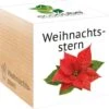 Ecocube "Weihnachtsstern" -Pflanzensamen Rabatt feel green ecocube weihnachtsstern 1 k 1033177 de