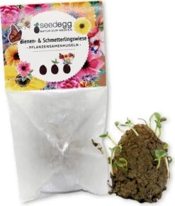 Seedegg "Tüte" -Pflanzensamen Rabatt feel green seedegg tuete 1 stk 737042 de