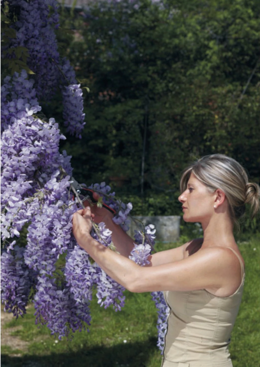 Felco Einhand-Baum-, Reb- & Gartenschere, S 6 Felco Einhand-Baum-, Reb- & Gartenschere, S – Bild 4