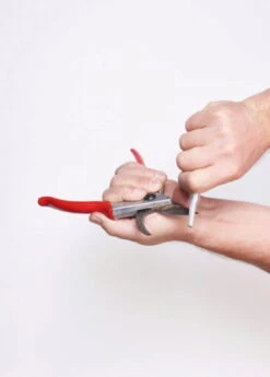 Felco Schleifwerkzeug -Pflanzensamen Rabatt felco schleifwerkzeug 1 st 1674129 de